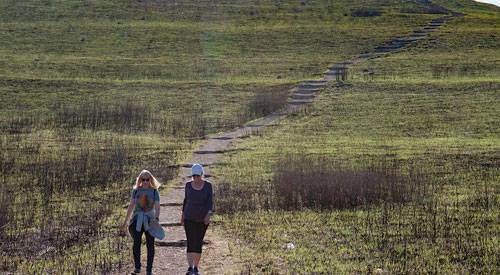 Hikers